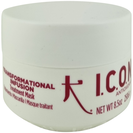 I.C.O.N. Transformational Infusion Treatment Mask 250g