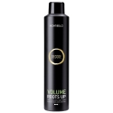 Montibello Decode Volume Roots Up 300 ml