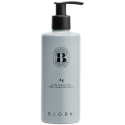 Björk Ag Silver Conditioner 250 ml