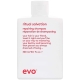 EVO Ritual Salvation Repairing Shampoo 300ml