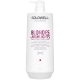 Goldwell Dualsenses Blondes & Highlights Anti-Yellow Shampoo 1000ml