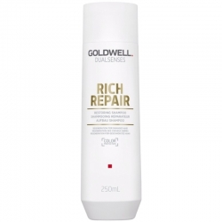 Goldwell Dualsenses Rich Repair Restoring Shampoo 250ml