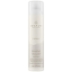 Paul Mitchell Awapuhi Wild Ginger Anti-frizz Hairspray 313 ml