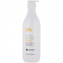 milk_shake Color Specifics Colour Sealing Conditioner 1000 ml