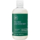 Paul Mitchell Tea Tree Lavender Mint Moisturizing Shampoo 300ml