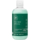 Paul Mitchell Tea Tree Special Shampoo 300ml