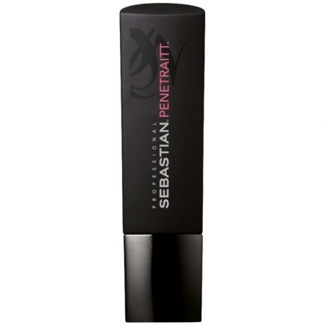 Sebastian Penetraitt Shampoo 250ml