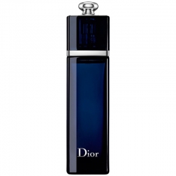 Dior Addict EDP 100 ml