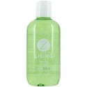 Kemon Liding Energy Shampoo 250 ml