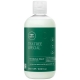 Paul Mitchell Tea Tree Special Conditioner 300 ml