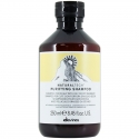Davines Natural Tech Purifying Shampoo 250 ml