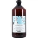 Davines Natural Tech Well Being Shampoo 1000 ml