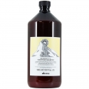 Davines Natural Tech Purifying Shampoo 1000 ml
