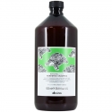 Davines Natural Tech Renewing Shampoo 1000 ml