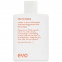 EVO Atonement Shampoo 300 ml