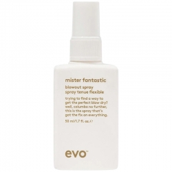 EVO Mister Fantastic Blowout Spray 50 ml
